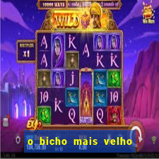 o bicho mais velho da loteria dos sonhos